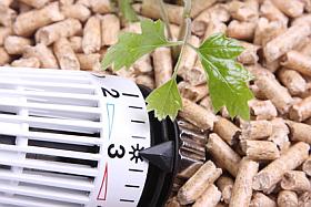 Heizkörperthermostat mit Holzpellets und grünem Blatt